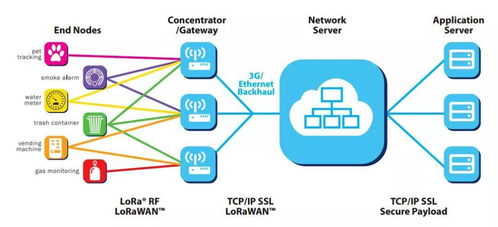 LoRa vs NB-IoT 一场物联网时代C位争夺战